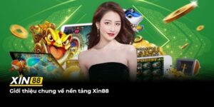 xin88